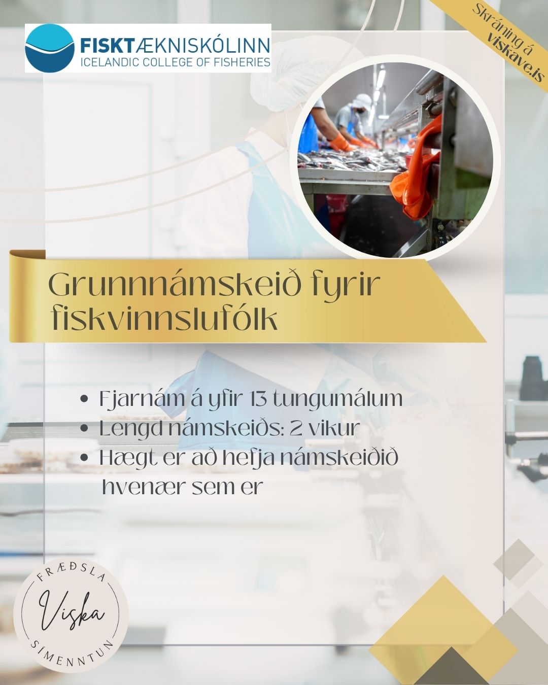 Auglýsingar 2026 (2) Grunnnámskeið f. fiskvinnslufólk - Image 1